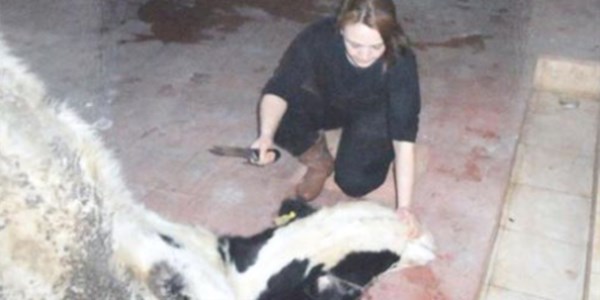 Melis Hanım, belgeli kasap oldu