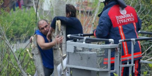 Budamak için çıktığı ağaçta bayıldı