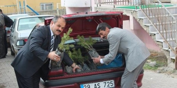 Şiran'da 5 bin 500 fidan dağıtıldı