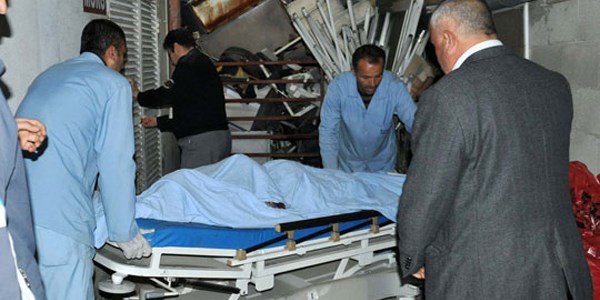 Doktor çarptığı yayayı kurtaramayınca teslim oldu