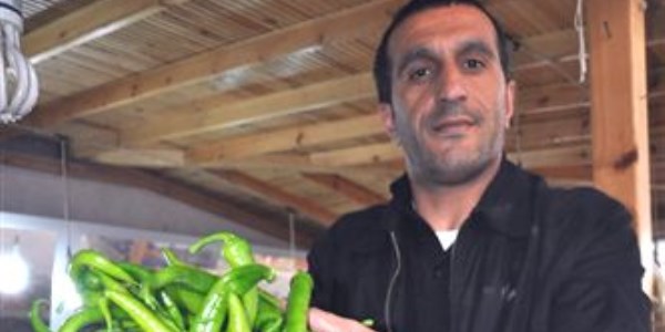 Sinop'ta Mart ayının zam şampiyonu sivri biber