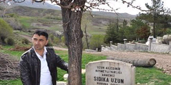 Mezarın üzerinde büyüyen erik ağacı görenleri şaşırtıyor