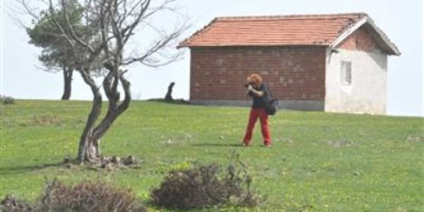 Doğada görüntü avcıları Niksar'da buluşacak