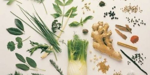 Tıbbi aromatik bitkiler kursuna yoğun ilgi