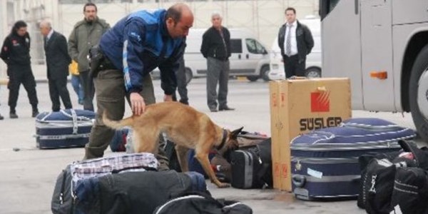Gümrüklerde dedektör köpek devri
