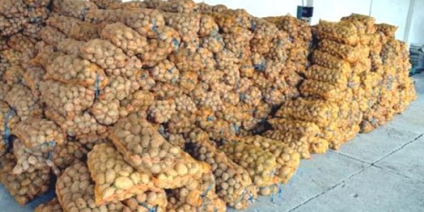 Belediyeden yoksul ailelere patates