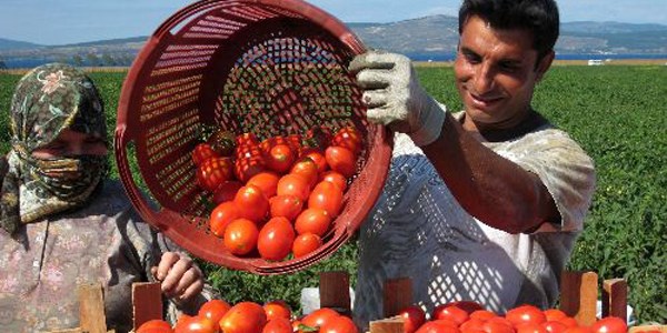 En az prim ödeyen sigortalılarının ödeyecekleri prim tutarı ne kadardır?