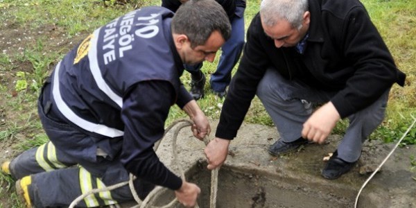 Önce kurtardılar sonra boğazladılar