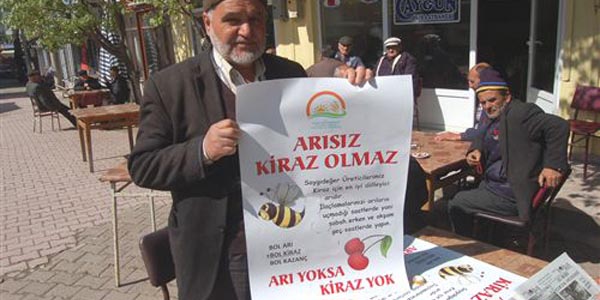 Arıcılar zirai ilaçlama uyarısı