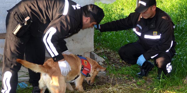 'Ezel' topraa gizlenmi 'esrar' buldu