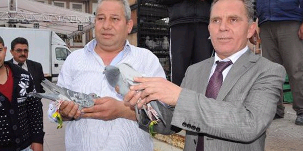 Manisa'da posta güvercinleri mesir macunu taşıdı