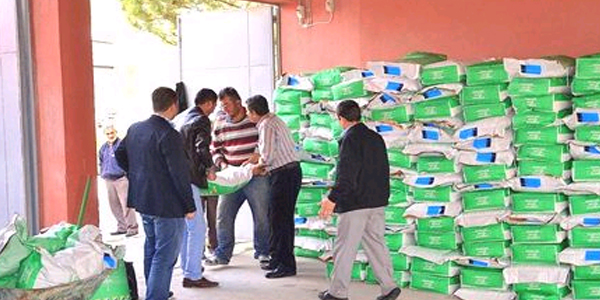 Alternatif ürün tohumları dağıtılmaya başlandı