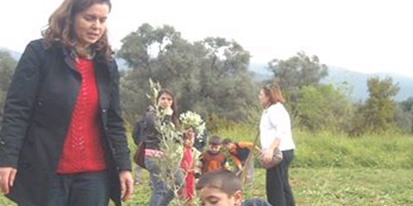 Ödemiş İnönü İlkokulu, zeytin fidanlarını toprakla buluşturdu