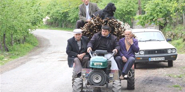 Köpek deyip geçmeyin
