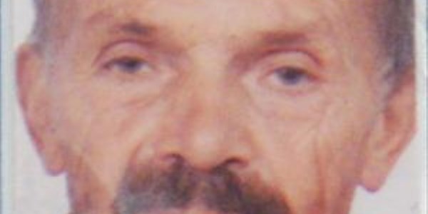 Ormanda ayı dehşeti