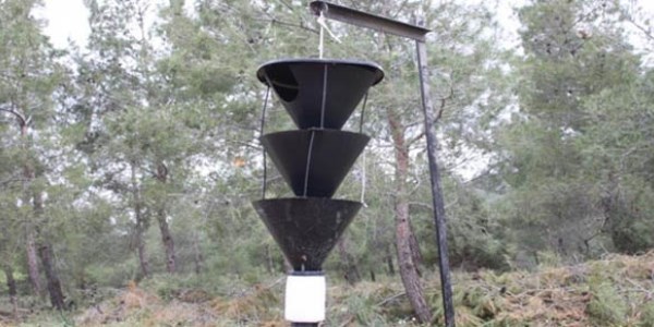 Türkiye, Balkan ormanları için laboratuvar kurdu