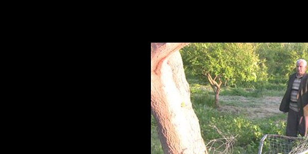 Arazi sahiplerinin alkollü sürücü tepkisi