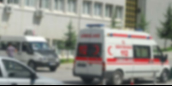 Koyulhisar'da trafik kazas: 2 yaral