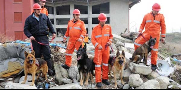 Hayat kurtarmak onlar için oyunun parçası