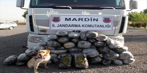 Mardin'de 170 kilo esrar ele geçirildi