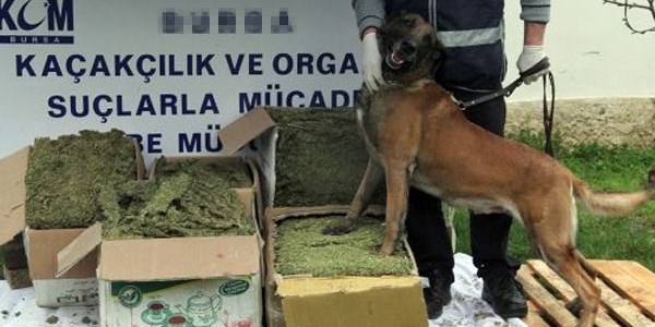 Geçen yıl 146 ton esrar ve 12 ton eroin yakalandı