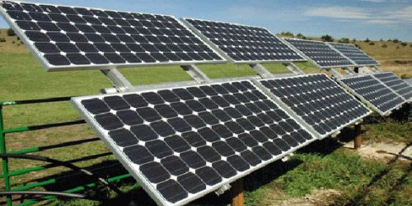 Türkiye'nin ilk güneş enerjili serasında üretim başladı