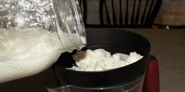 Bağırsakların ilacı kefir ve yoğurt