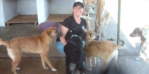 Burhaniye Belediyesi'nin köpek barınağına Almanya'dan destek