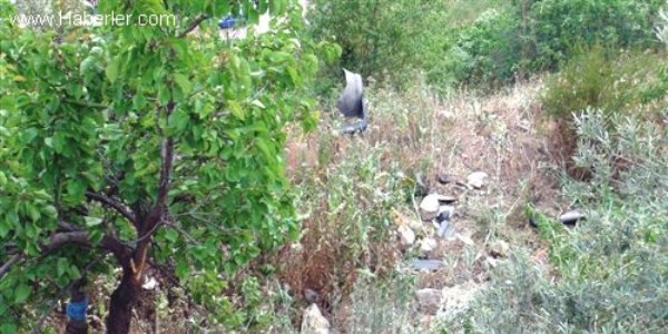 150 metreden uçuruma yuvarlanan araçtan sağ çıktılar
