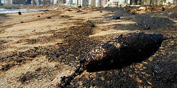 Türkiye'nin hava kirliliği haritası çıkarılacak