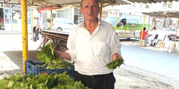 Şarköy asma yaprağı tezgahta