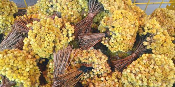 Kurutulmuş yayla çiçekleri ilgi görüyor