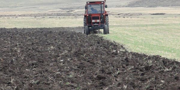 Arazilere miras düzenlemesi TBMM'ye geliyor