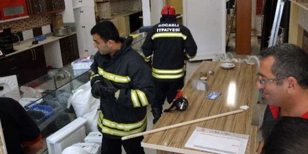 İş yerini yılanlar bastı