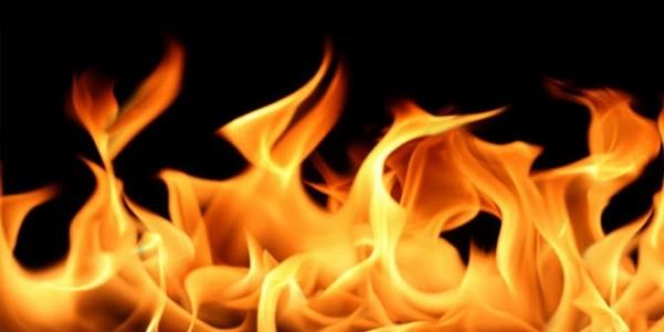 Ağaç kesilmesini protesto ederken ağaç yaktılar