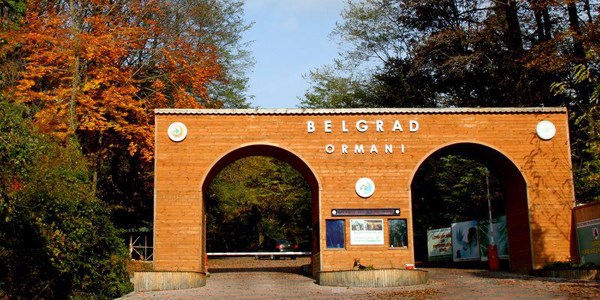 Belgrad Ormanları'na da rezidans