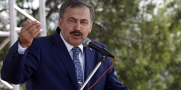Ağaçlandırılan alan 10 yılda 7 kat arttı