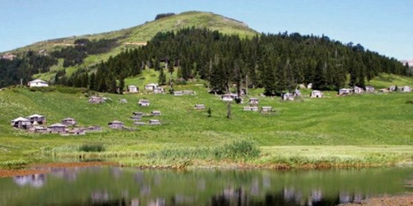 Giresun Yağlıdere'deki Gölyanı Yaylası otantik evleriyle dikkat çekiyor