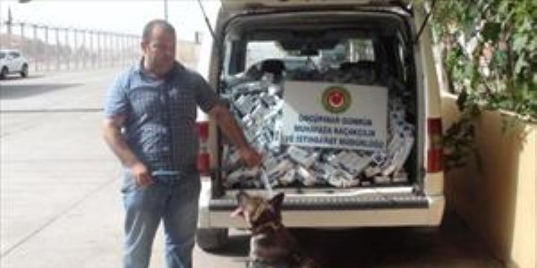 Kilis'te kaçak sigara operasyonu: 2 gözaltı