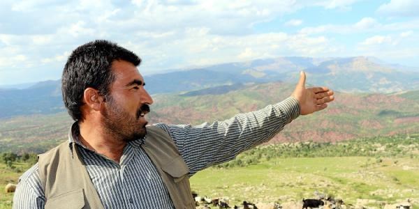 Şırnak'ta şarbon 200 hayvanı telef etti