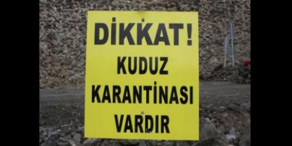Erdek'in 2 köyüne kuduz karantinası