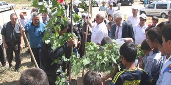 Sungurlu'da Başbakana destek için 2 bin fidan dikildi