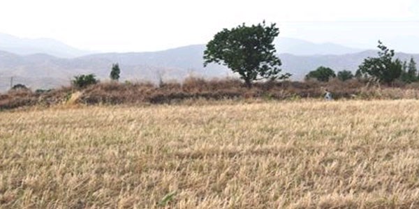 Ödemiş'teki 5 bin yıllık dağcı höyüğü yok olmaktan son anda kurtarıldı