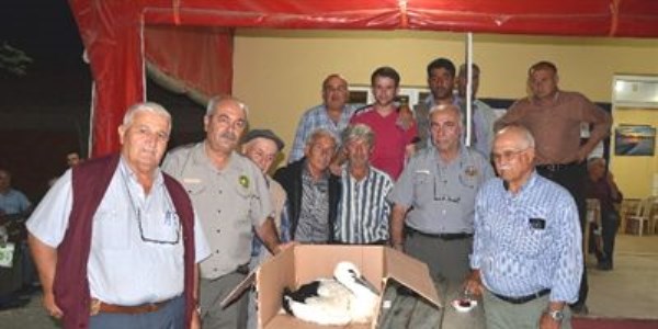 Yaralı leylekler için seferberlik