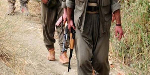 Teröristler, Bitlis'te 2 inşaat mühendisini kaçırdı