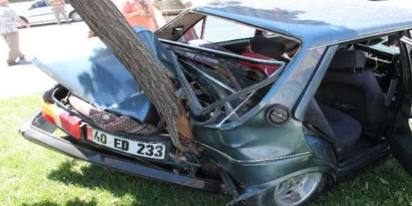 Yoldan çıkan araç ağaca çarptı: 5 çocuk yaralı