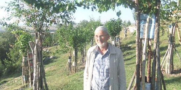 Emeklinin ağaç sevgisi