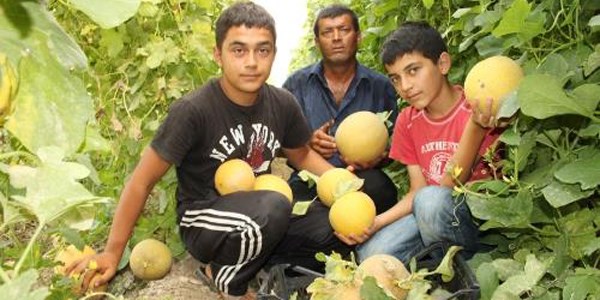 Kavun tarlada 20 kuruş markette 3 lira