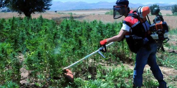 Diyarbakır'da hava destekli uyuşturucu operasyonu