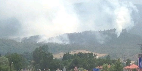 Karabük'te orman yangını